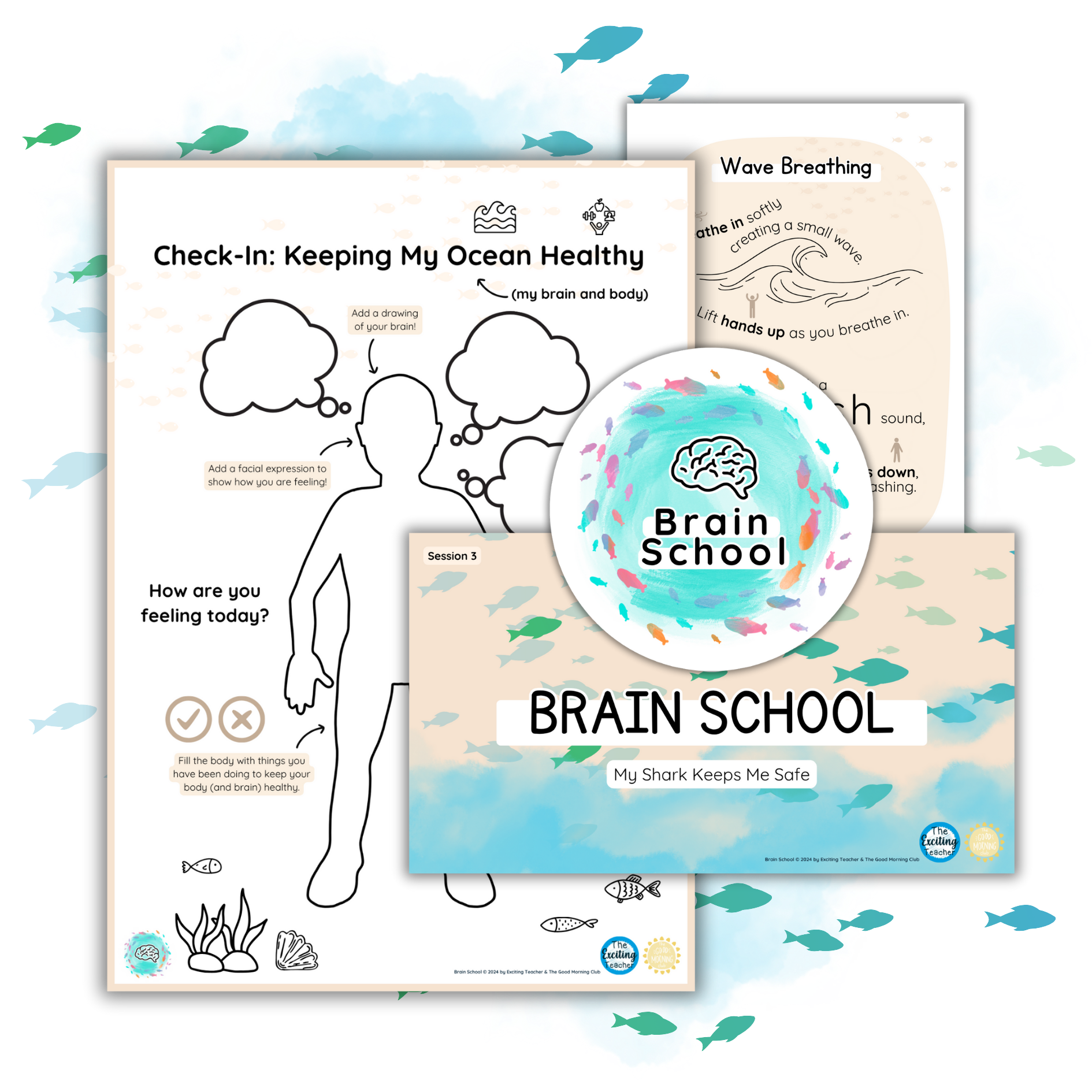 Brain School Learning Developing Minds, Deepening Understanding